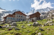36_Denza con Presanella e cima di Vermiglio
